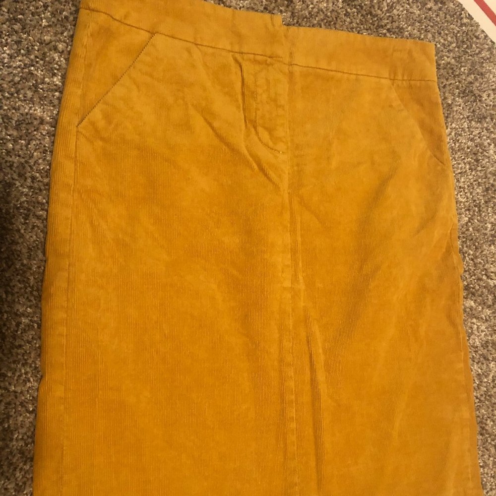 J. Crew Skirt